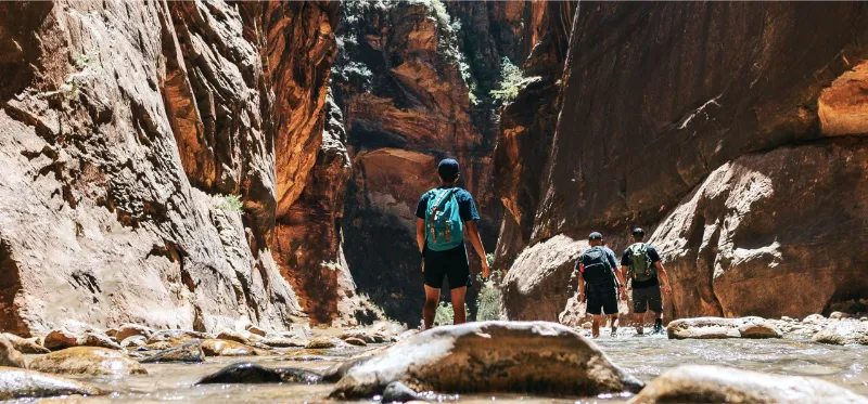 A picture of hikers in Zion National Park